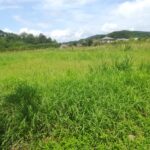 都城市山之口町花木 売地（B） 460万円
